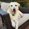Robert Been532 - @rbeen61 - TikTok
