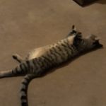 Robert Begg - @robert_begg07 - Instagram