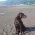 Robert Begin - Facebook