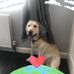 Robert Behan - Facebook