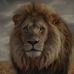 Robert Behr - Facebook