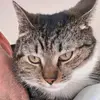 Robert Behrendt - @robert.behrendt - TikTok