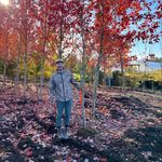 Jean-Robert Belliveau - @jbelliveau13 - Instagram