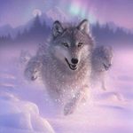 Robert Belliveau - @robert.belliveau.338 - Instagram