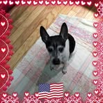 Robert Benefield - Facebook