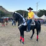 Roberto Benitez - @robert_benitez_28 - Instagram