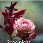 beno robert - @robertbeno112000 - Instagram