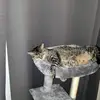 Robert Benson489 - @robertbenson489 - TikTok