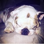 Cole Robert Benzing - @colerobertbenzing - Instagram