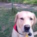 Robert Bergfeld - Facebook