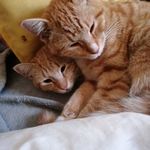 Robert Bernhard - @bernhard7997 - Instagram