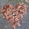 robertbernhardt44 - @robertbernhardt44 - TikTok