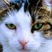 Robert Bernier - Facebook