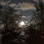 Robert Bernstein - @rnb636363 - Instagram