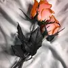 RobertBerntsen - @robertberntsenbcjcuqmv - TikTok