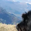 Roberto Bertoncini - @roberto.bertoncin - TikTok