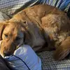 Rob Bessler - @rob.bessler - TikTok