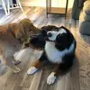 Robert Bessler442 - @robertbessler - TikTok