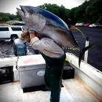 Robert Best - @horse.5079016 - Instagram
