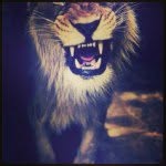 Robert Best - @badrobert - Instagram