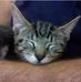 Robert Bethmann - Facebook
