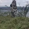 Robert Bett131 - @robertbett - TikTok