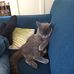 Robert Beumer - Facebook
