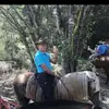 Roberto Beumer - @roberto.beumer - TikTok