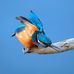 Robert Biver - Facebook