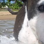 robert bewley - @bewley_robert - Instagram