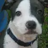 Robert Bewley - @robert.bewley2 - TikTok