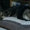 Robert Beyer - @robert.beyer7 - TikTok