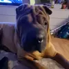 Robert Beyer - @robert.beyer49 - TikTok