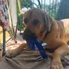 Robert Bielatowicz - @robert.bielatowic7 - TikTok