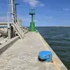 Robert Biermann - @robert.biermann0 - TikTok
