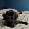 bilodeaurobert - @bilodeaurobert - TikTok