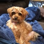 Robert Bilodeau - Facebook