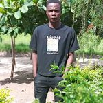 robert bina - @bina.robert - Instagram