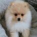 Robert J Bina - Facebook