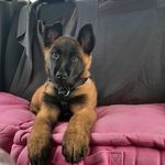 Robert Binder - @robert.binder.3363 - Instagram