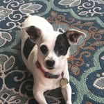 Robert Birdwell - @robert.birdwell.10 - Instagram