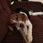 Robert Birk - @robert.birk.9 - Instagram
