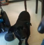 Robert Birkhimer - Facebook