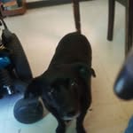 Robert Birkhimer - @robertbirkhimer999 - Instagram