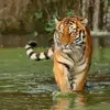 robert birman - @robert.birman - TikTok