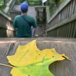 Andrew  Han - @robertbishop346 - Instagram