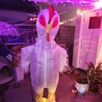 Robert Bitter - @rob_bass_3000 - Instagram