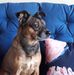 Robert Blackler - Facebook