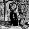Robert Blackstone - @robert.blackstone - TikTok