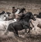 Robert Blade - Facebook